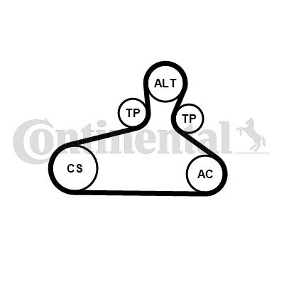 CONTINENTAL CTAM 6PK1120 EXTRA K1 Keilrippenriemensatz